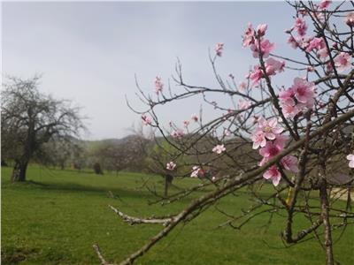 Teren intravilan in Luncoiu de Jos