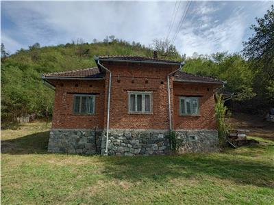 Un hectar de teren si casa langa padure. Proprietate deosebita in Dumbrava de Jos, Comuna Ribita