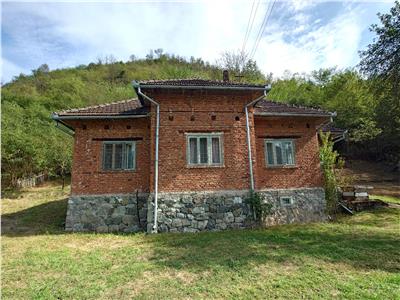 Un hectar de teren si casa langa padure. Proprietate deosebita in Dumbrava de Jos, Comuna Ribita