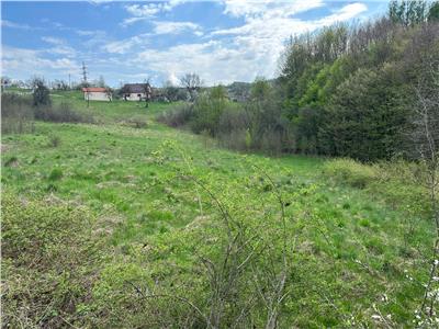 Terenuri extravilane in Luncoiu de Sus, Hunedoara