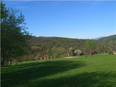 Teren Intravilan  in Luncoiu de Jos, Jd Hunedoara