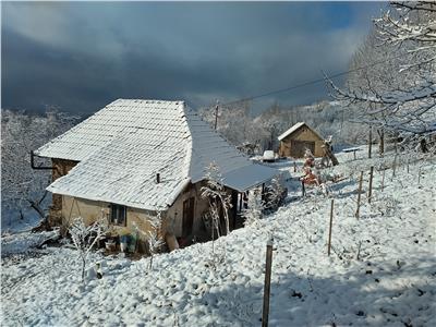 Casa si jumatate de hectar de teren la munte